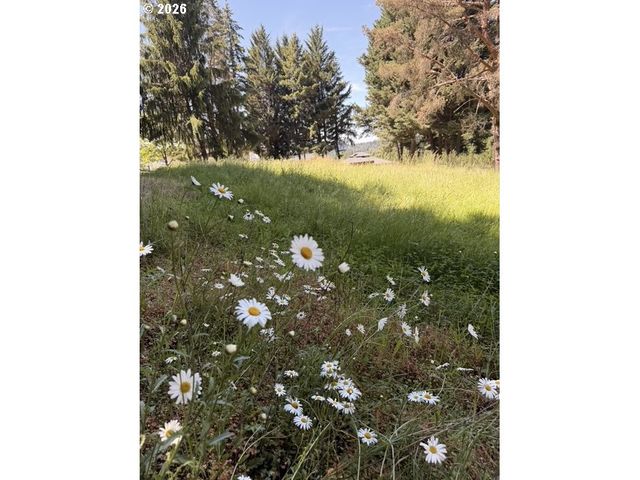 18243 S BOGYNSKI Rd, Oregon City, OR 97045