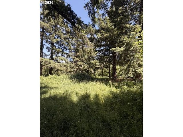 18243 S BOGYNSKI Rd, Oregon City, OR 97045