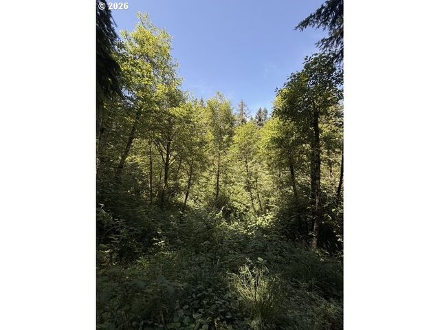 18243 S BOGYNSKI Rd, Oregon City, OR 97045