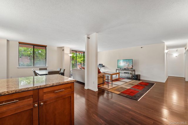 302 Church Street 1C, White Plains, NY 10603