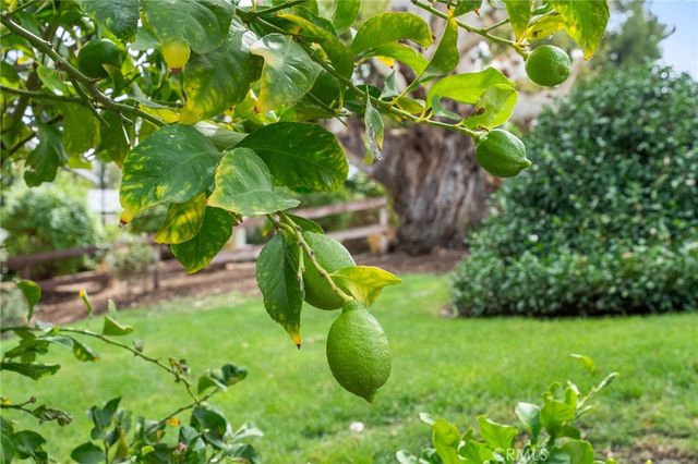 41070 Avenida Verde, Temecula, CA 92591