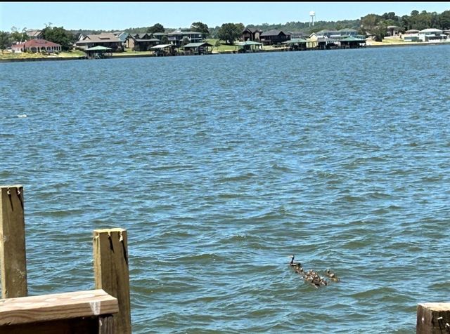 0 Mockingbird Hills, Livingston, TX 77351