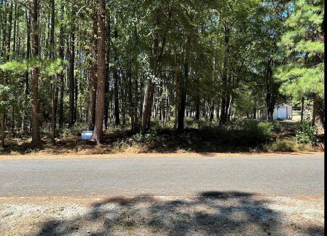 0 Mockingbird Hills, Livingston, TX 77351