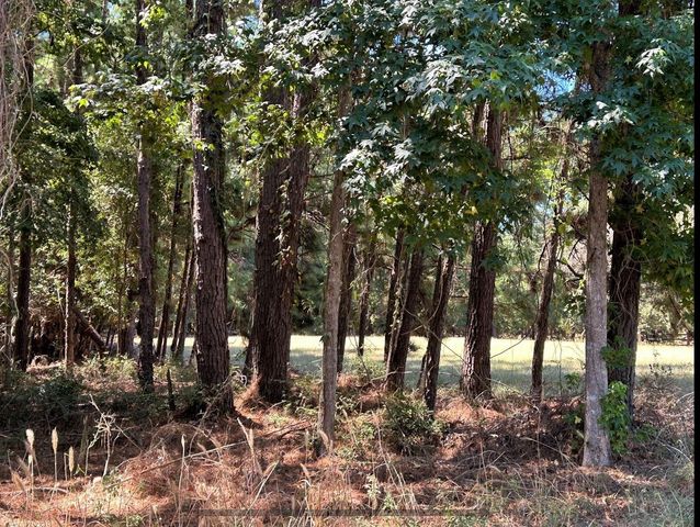 0 Mockingbird Hills, Livingston, TX 77351