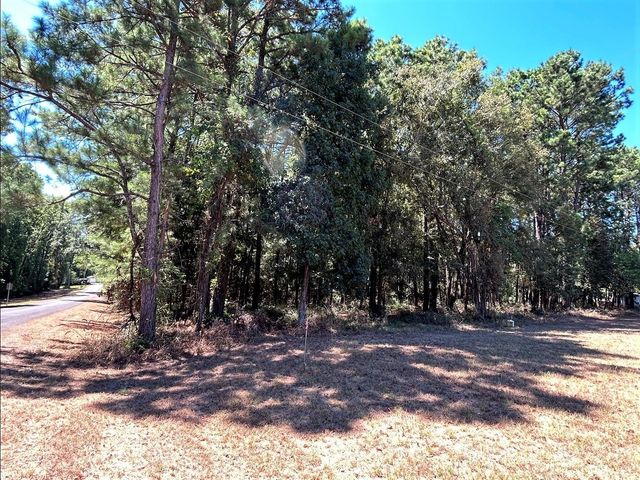 0 Mockingbird Hills, Livingston, TX 77351