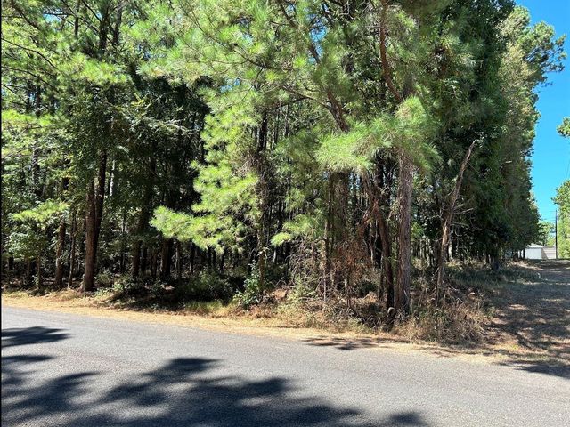 0 Mockingbird Hills, Livingston, TX 77351