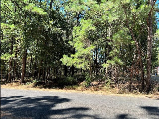 0 Mockingbird Hills, Livingston, TX 77351