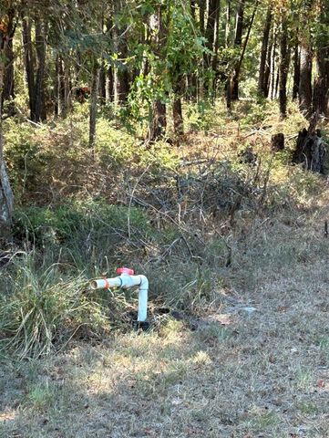 0 Mockingbird Hills, Livingston, TX 77351