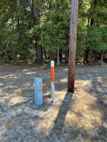 0 Mockingbird Hills, Livingston, TX 77351