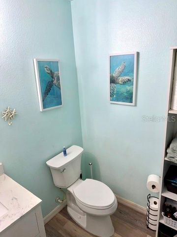 3596 E THEO LANE, Inverness, FL 34453