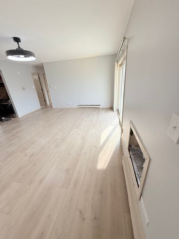 1925 Canal Street 3D, Blue Island, IL 60406