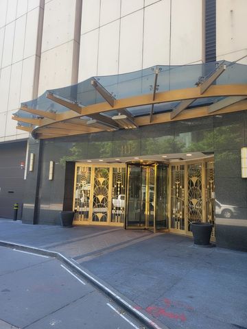 111 E Chestnut Street 20D, Chicago, IL 60611