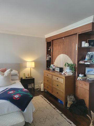 111 E Chestnut Street 20D, Chicago, IL 60611