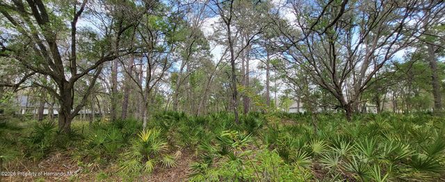 12090 Osprey Avenue, Weeki Wachee, FL 34614