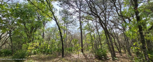 12090 Osprey Avenue, Weeki Wachee, FL 34614