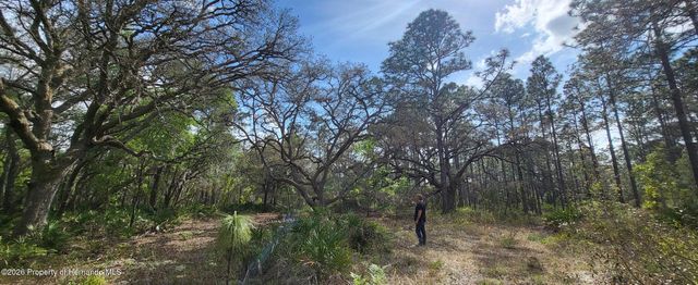 12090 Osprey Avenue, Weeki Wachee, FL 34614