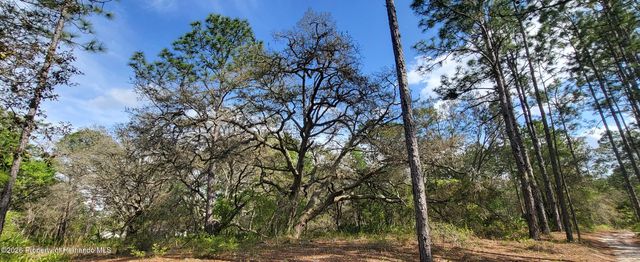 12090 Osprey Avenue, Weeki Wachee, FL 34614