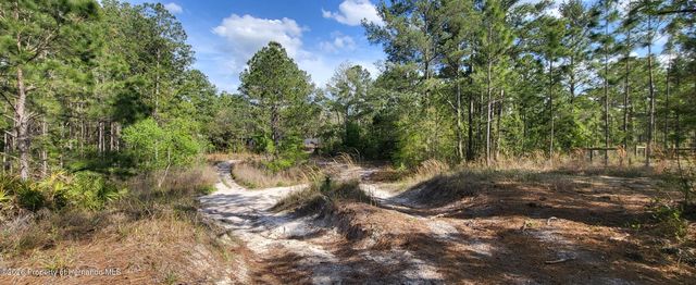 12090 Osprey Avenue, Weeki Wachee, FL 34614