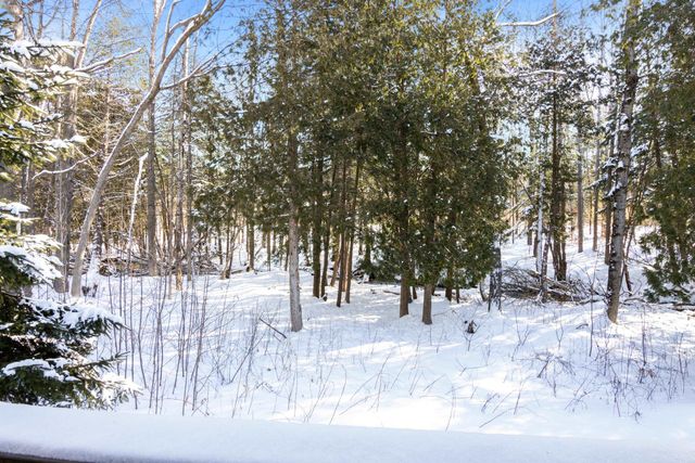 6865 Pinebrook, Custer Twp, MI 49615