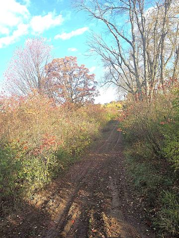 14308 Garber Road, Constantine Twp, MI 49042