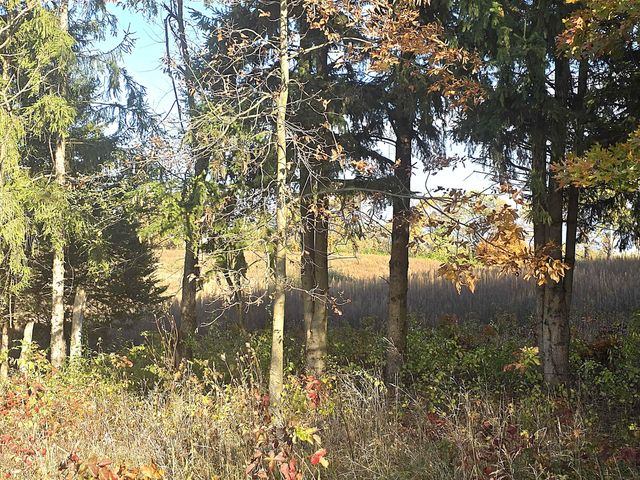 14308 Garber Road, Constantine Twp, MI 49042