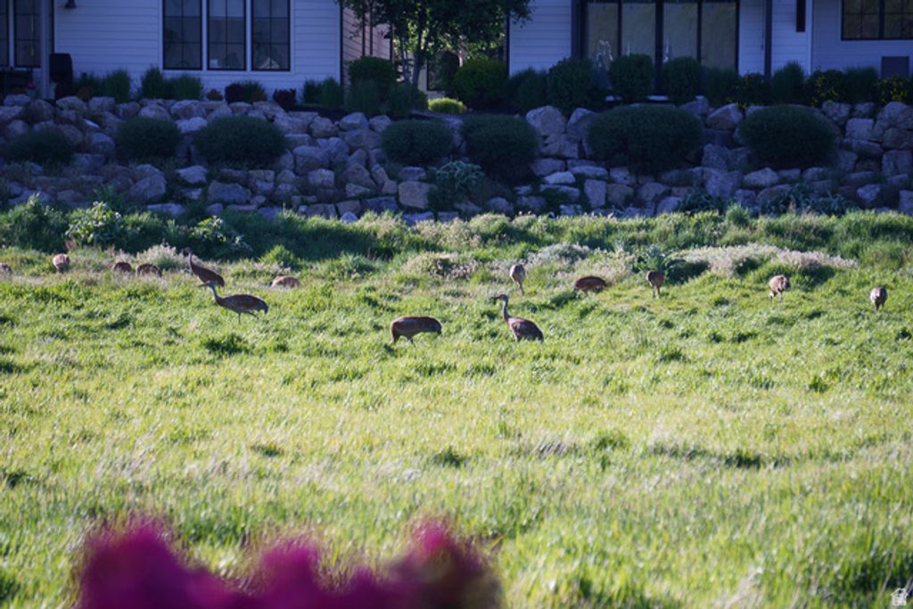 Image 57 of property listing at 355 E ROCKWELL CIR, Midway, UT 84049