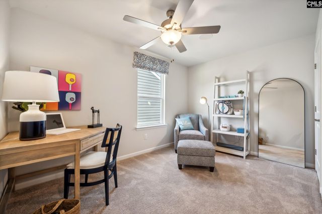 717 Feldspar Court, Chapin, SC 29036