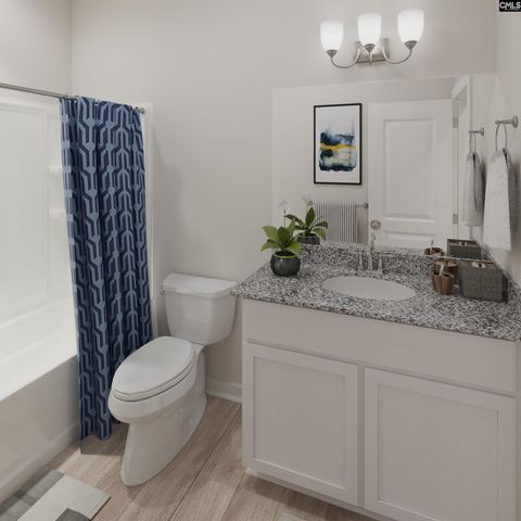 717 Feldspar Court, Chapin, SC 29036