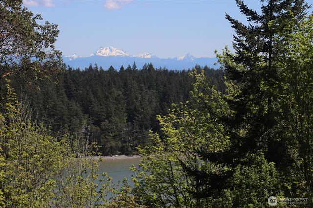 207 Triangle Cove Lane, Camano Island, WA 98282