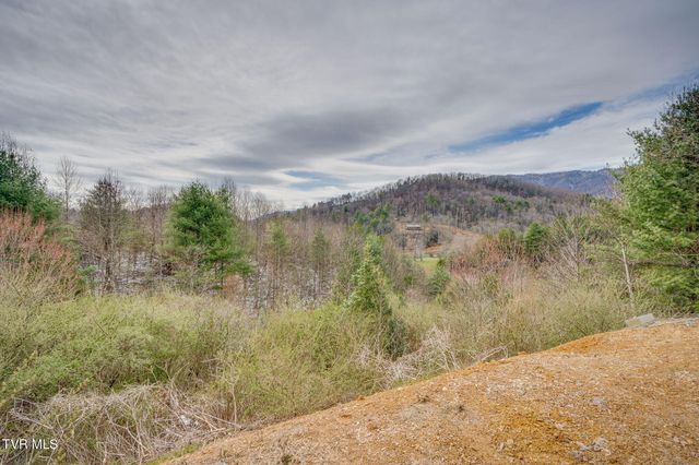 151 Windy Hill Private Lane, Butler, TN 37640