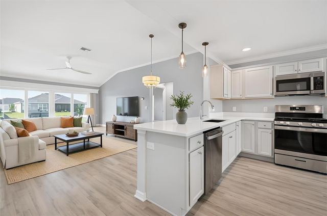 1742 JAMES GRAY STREET, The Villages, FL 34762