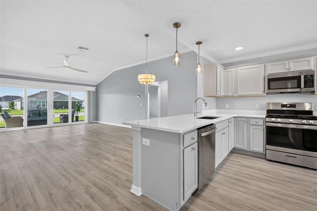 1742 JAMES GRAY STREET, The Villages, FL 34762