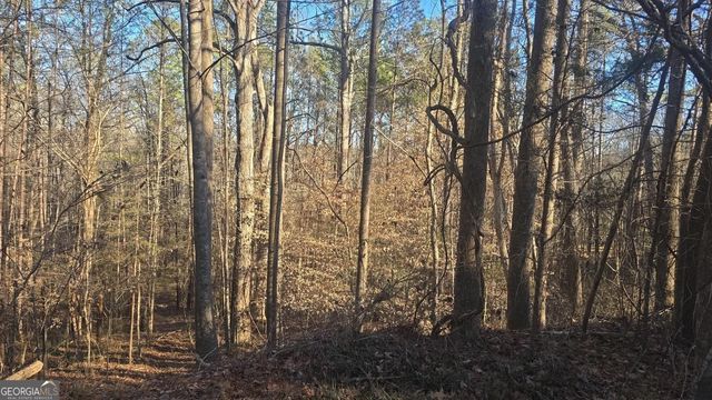 4440 Susans Way, Snellville, GA 30039