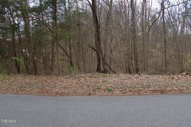 Tbd Lakeside Drive, Johnson City, TN 37615