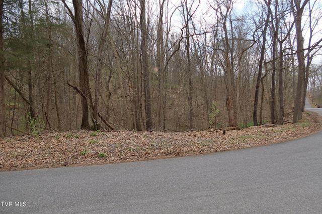 Tbd Lakeside Drive, Johnson City, TN 37615