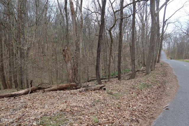 Tbd Lakeside Drive, Johnson City, TN 37615