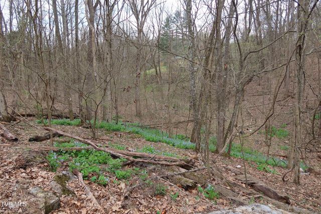 Tbd Lakeside Drive, Johnson City, TN 37615