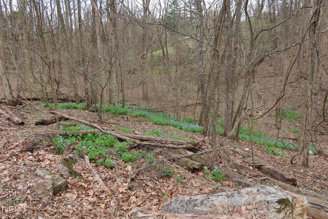 Tbd Lakeside Drive, Johnson City, TN 37615