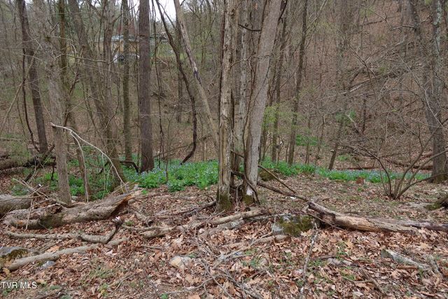 Tbd Lakeside Drive, Johnson City, TN 37615