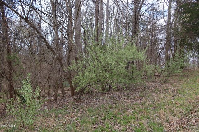 Tbd Lakeside Drive, Johnson City, TN 37615