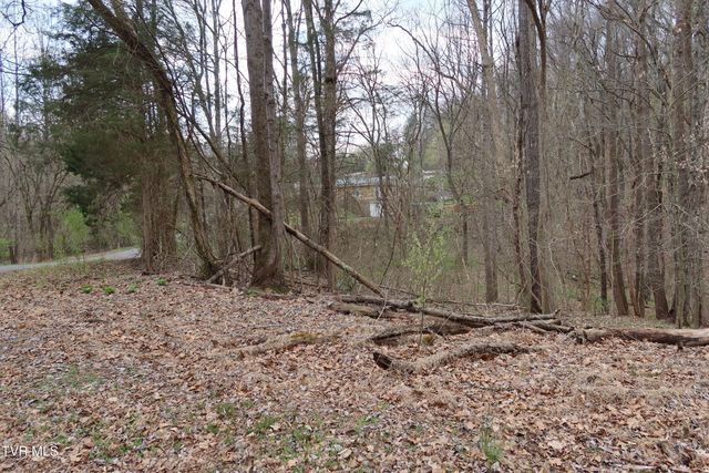 Tbd Lakeside Drive, Johnson City, TN 37615