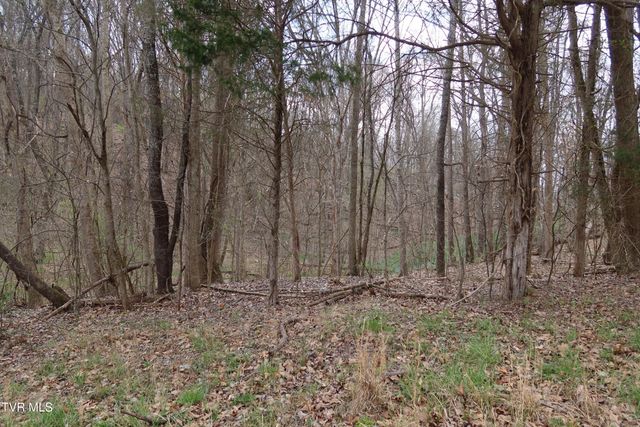 Tbd Lakeside Drive, Johnson City, TN 37615