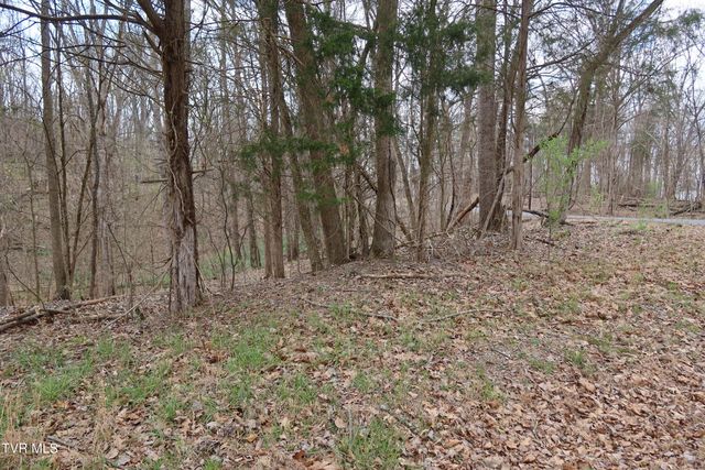 Tbd Lakeside Drive, Johnson City, TN 37615