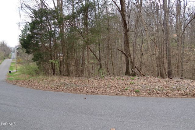Tbd Lakeside Drive, Johnson City, TN 37615
