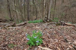 Tbd Lakeside Drive, Johnson City, TN 37615