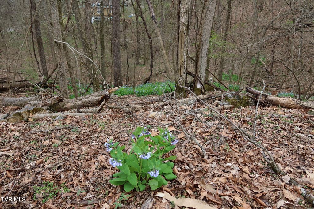 Tbd Lakeside Drive, Johnson City, TN 37615