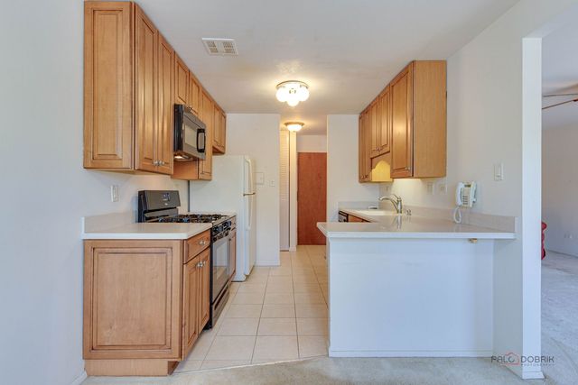 2604 N Windsor Drive 204, Arlington Heights, IL 60004