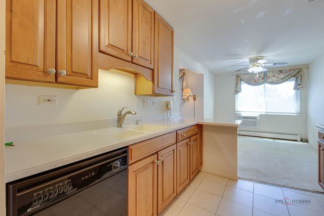 2604 N Windsor Drive 204, Arlington Heights, IL 60004