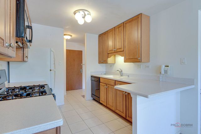 2604 N Windsor Drive 204, Arlington Heights, IL 60004