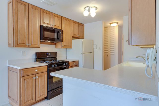 2604 N Windsor Drive 204, Arlington Heights, IL 60004